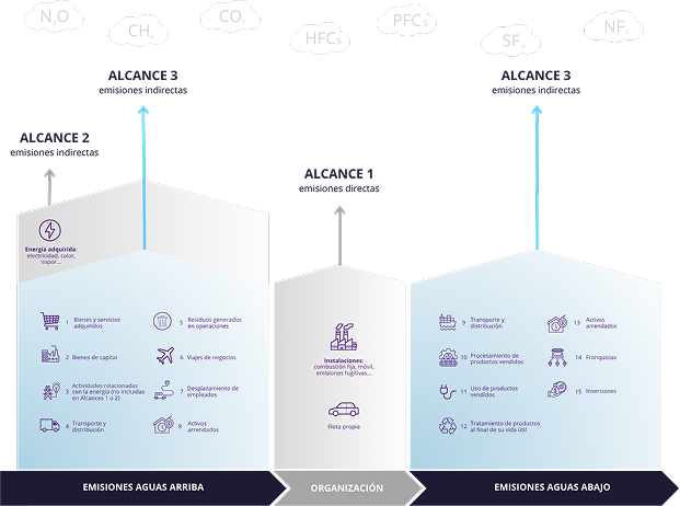 Carbon footprint: key concepts, levels of analysis, and reference standards