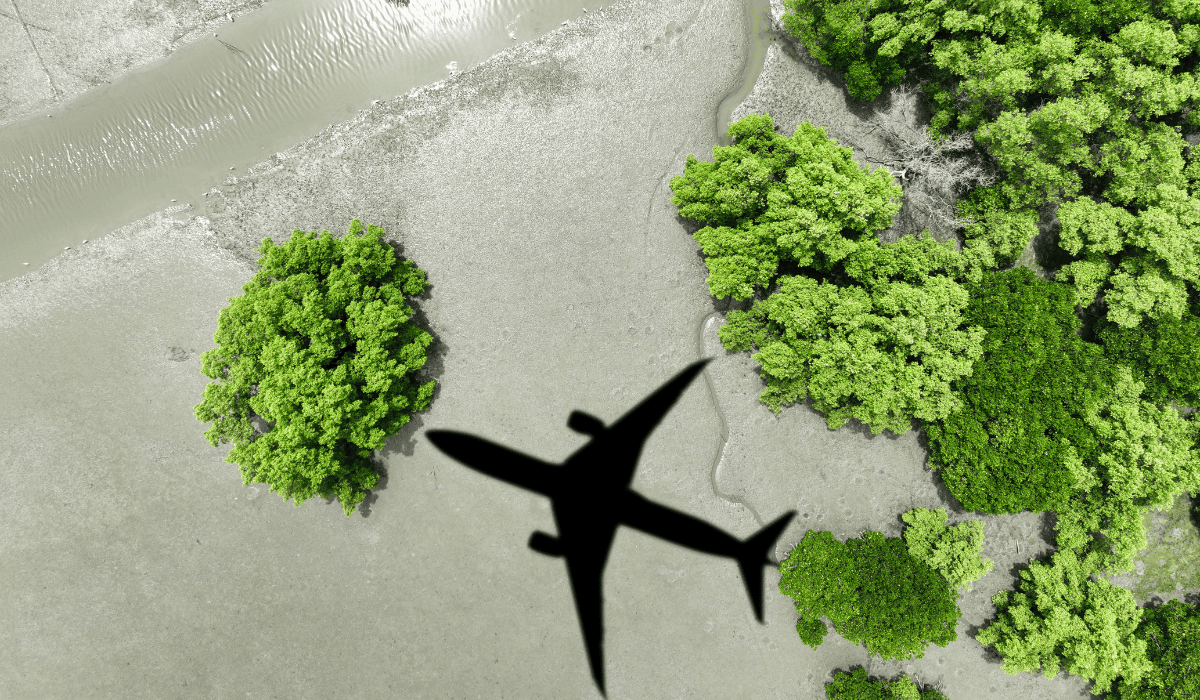 Carbon footprint: key concepts, levels of analysis, and reference standards