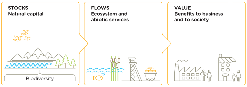 Capitals coalition Natural capital stocks, flows, and values - Baisma