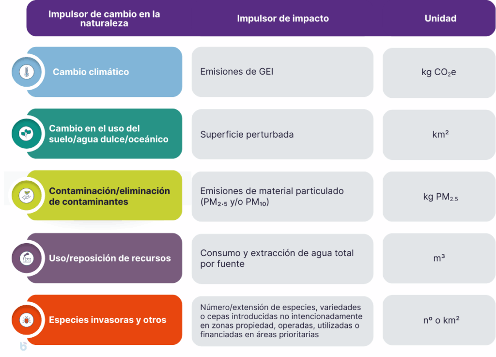 Cómo las empresas pueden integrar la biodiversidad y el capital natural en su estrategia