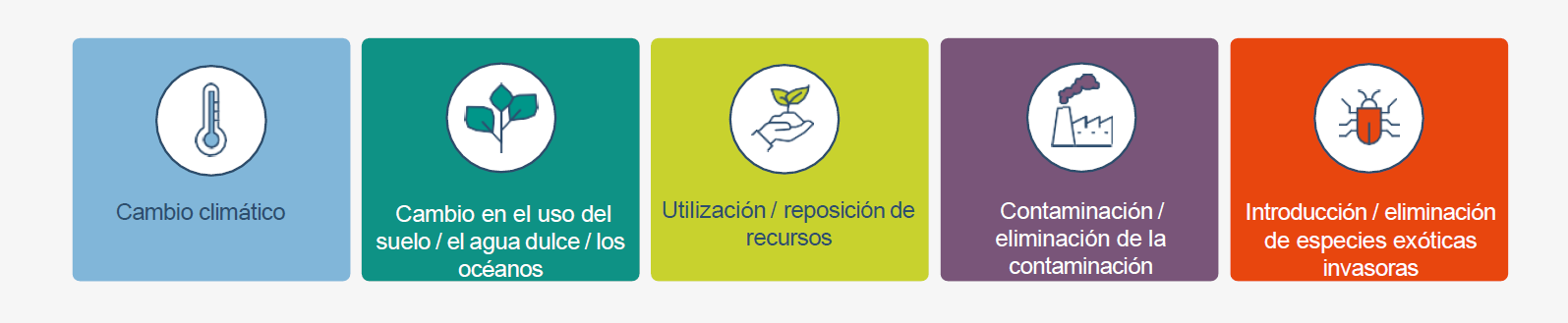 TNFD Impulsores del cambio de la naturaleza Baisma