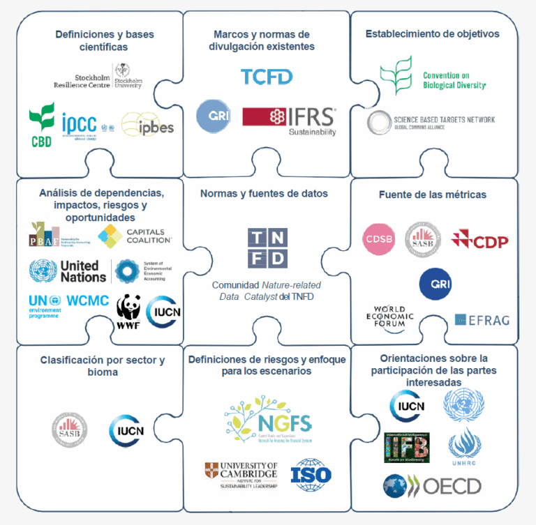 TNFD Marcos, métodos y herramientas Biodiversidad Capital natural - Baisma