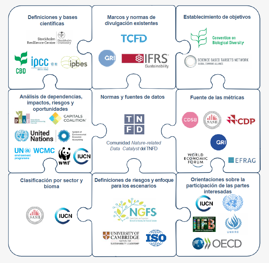 Biodiversidad y capital natural en la estrategia empresarial