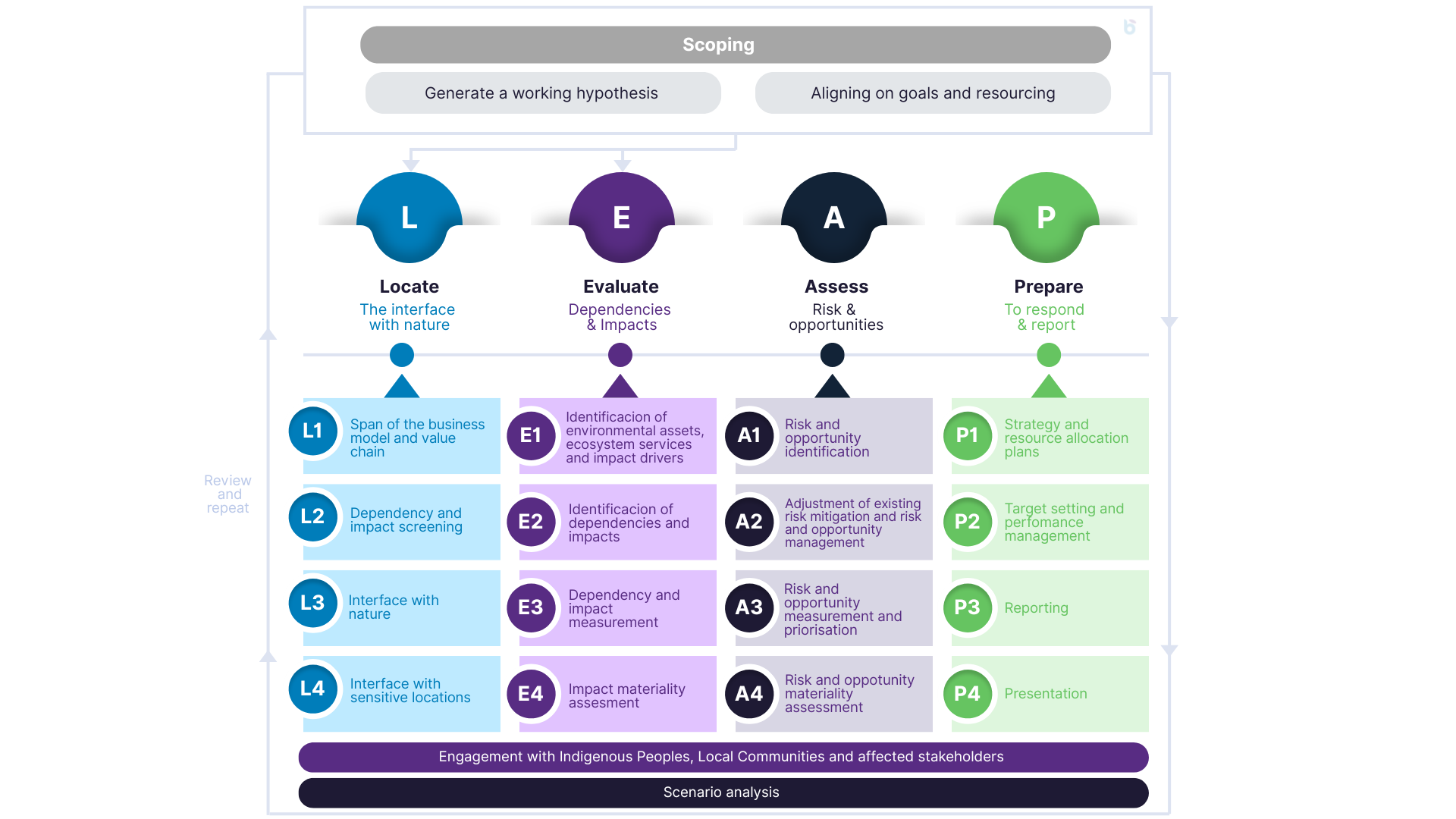 Integrating biodiversity and natural capital into corporate strategy