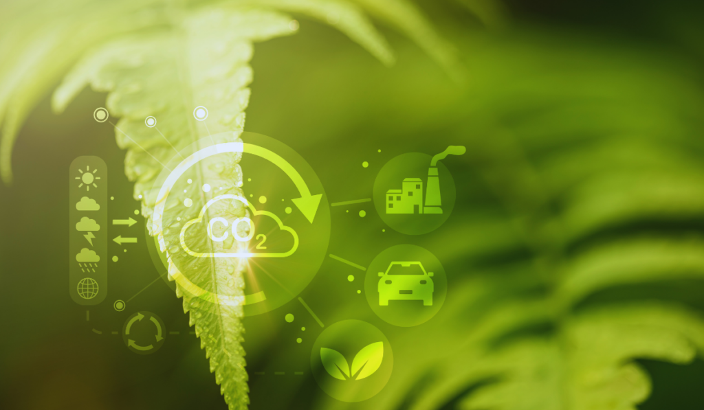 Huella de carbono obligatoria - Baisma