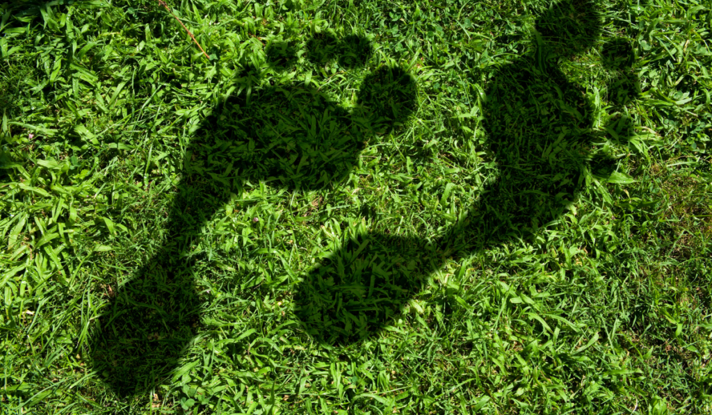 Huella de carbono obligatoria 2026 - Baisma