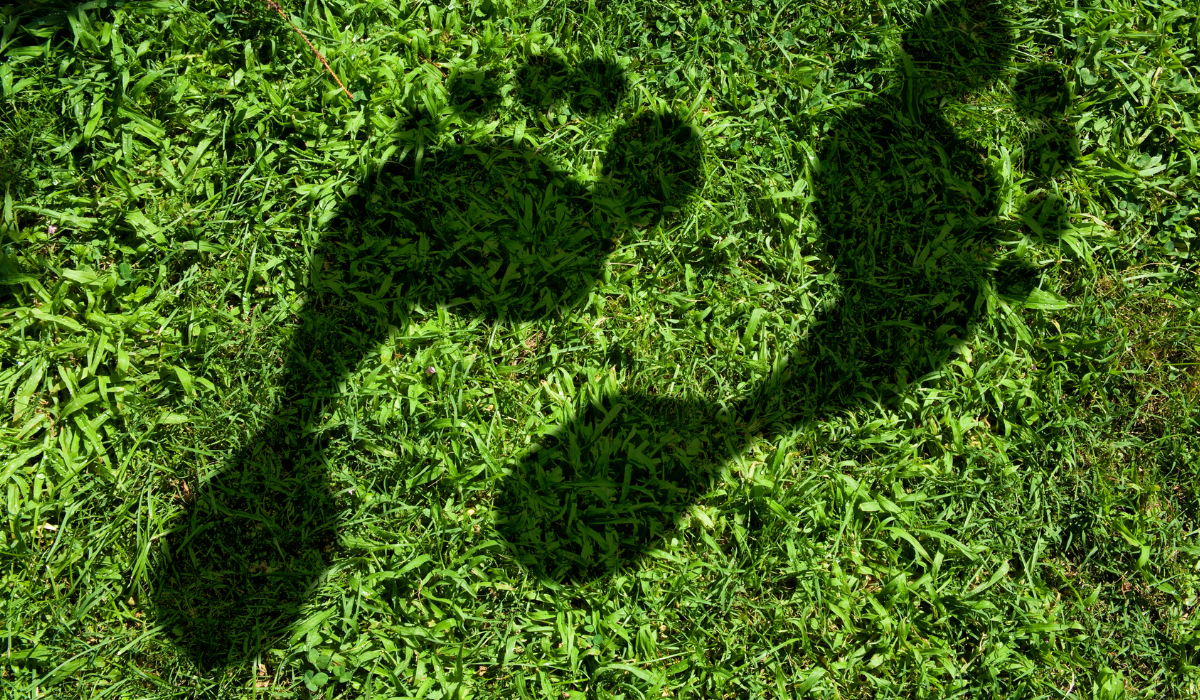 Huella de carbono obligatoria 2026 - Baisma