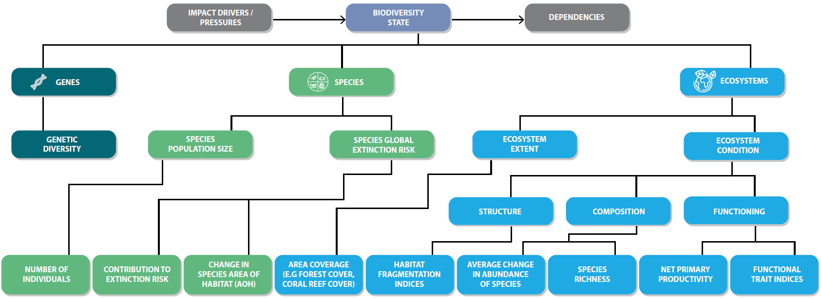 Evaluar impactos sobre la naturaleza: métricas de estado y huella de biodiversidad