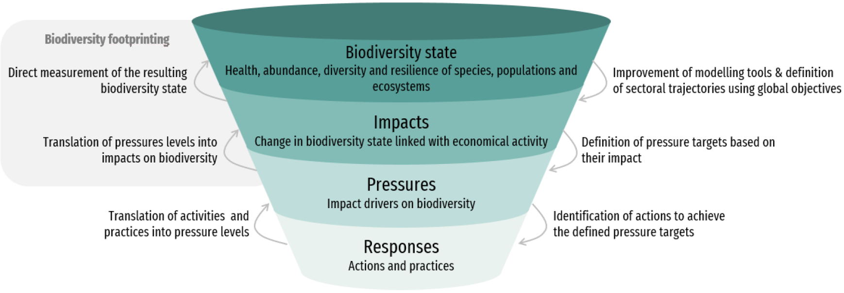 Fuente - Towards a protocol for ecosystem condition accounting –scoping an organisation’s biodiversity footprint – Draft. CDC Biodiversité, 2025.
