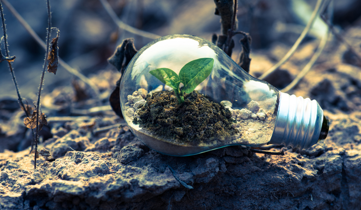 Riesgos climáticos físicos y de transición - Baisma