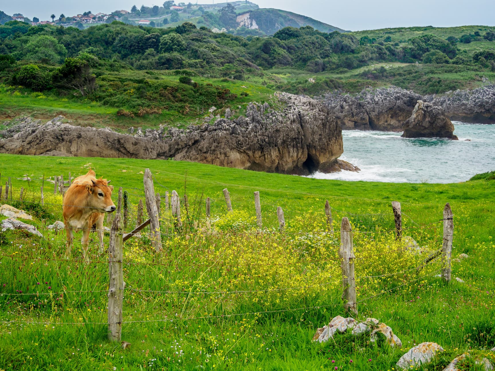 Huella de biodiversidad y presiones sobre la naturaleza de EDP